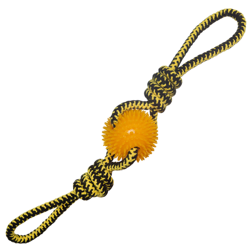 Snugarooz Spikey Baby Dog Toy