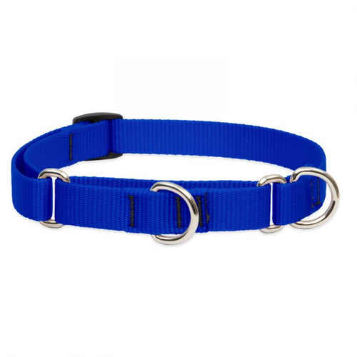 Lupine Pet Basic Solids Martingale Training Collar (1 Width 15-22 Blue)