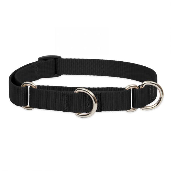 Lupine Pet Basic Solids Martingale Training Collar (1