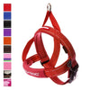 EzyDog Quick-Fit Harness Red