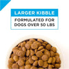 Purina Pro Plan Focus Large Breed Puppy Formula Dry Dog Food