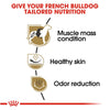 Royal Canin Breed Health Nutrition French Bulldog Adult Dry Dog Food