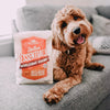 Stella & Chewy's Stella's Essentials Grass-Fed Beef & Ancient Grains Recipe Dry Dog Food