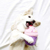 ZippyPaws Pink Cupcake Plush Dog Toy