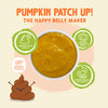 Weruva Pumpkin Patch Up!, Pumpkin with Ginger & Turmeric for Dogs & Cats (2.8oz Pouch, Single)