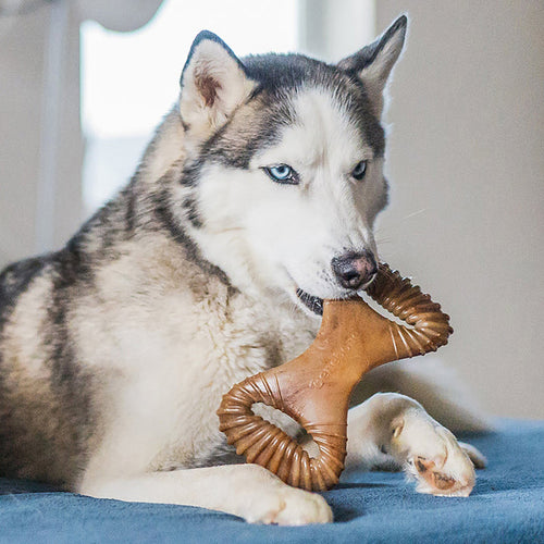 Benebone Peanut Butter Dental Chew (MD)