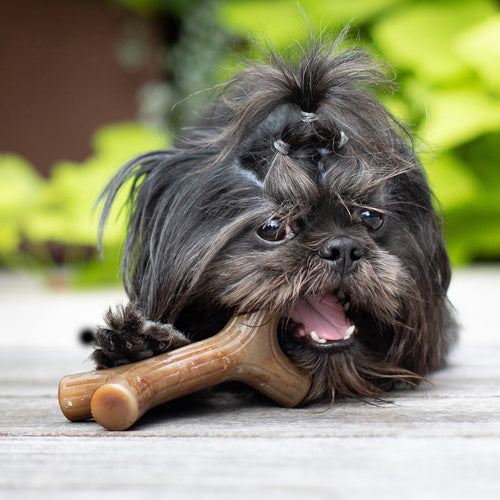 Benebone Bacon Stick (SM)