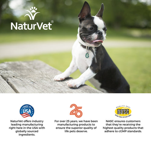 NaturVet Scoopables Advanced Probiotics & Enzymes (11 oz)