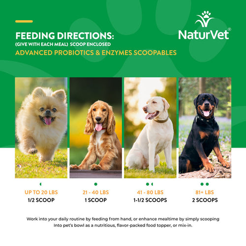 NaturVet Scoopables Advanced Probiotics & Enzymes (11 oz)