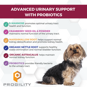 Nootie Progility Minis Urinary Support Soft Chew Supplement For Small & Medium Size Dogs (60 Count)