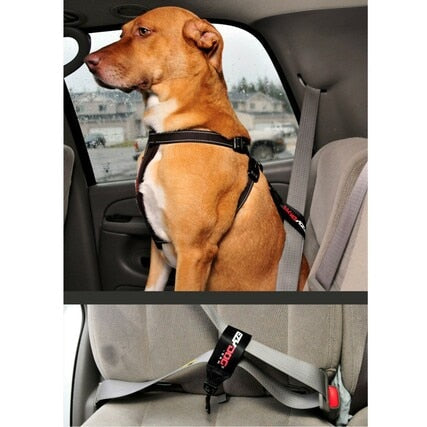 EZYDOG SEAT BELT RESTRAINT