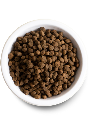 Open Farm Pasture-Raised Lamb & Ancient Grains Dry Dog Food (22-lbs)