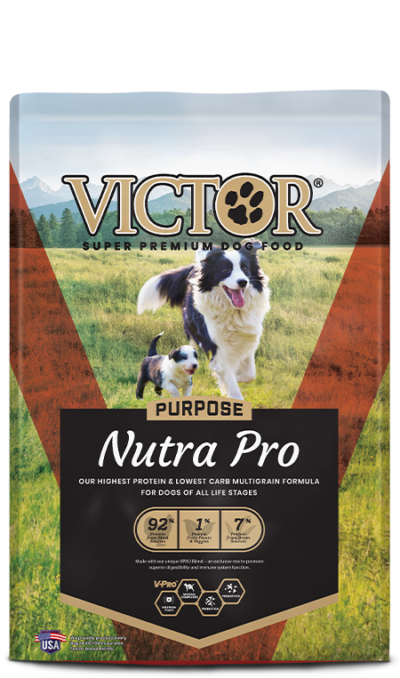 Victor Nutra Pro (40 lb)