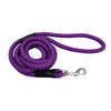 Coastal Pet Coastal Rope Dog Leash (1/2 x 6')