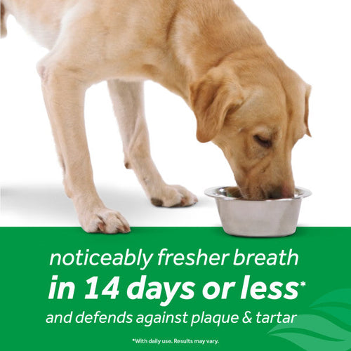 TropiClean Fresh Breath Dental Health Solution Plus Hip & Joint for Dogs (33.8-oz)