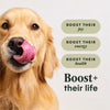 Instinct® RawBoost™ High-Protein Beef Dry Dog Food