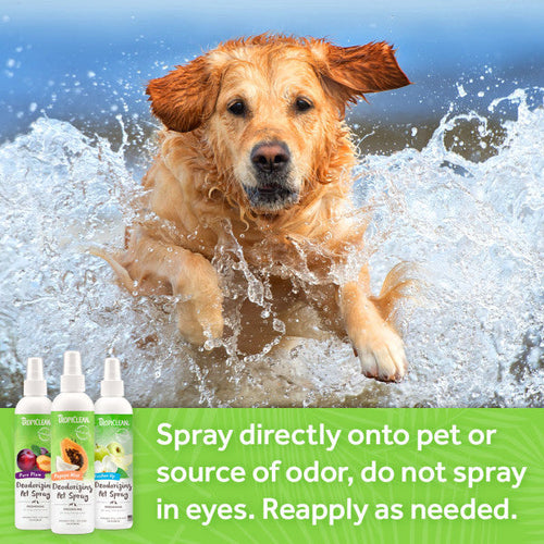 TropiClean Baby Powder Deodorizing Spray for Pets (8 oz)