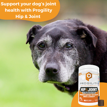 Nootie Progility Hip & Joint Soft Chew Supplement for Dogs (90 Count)