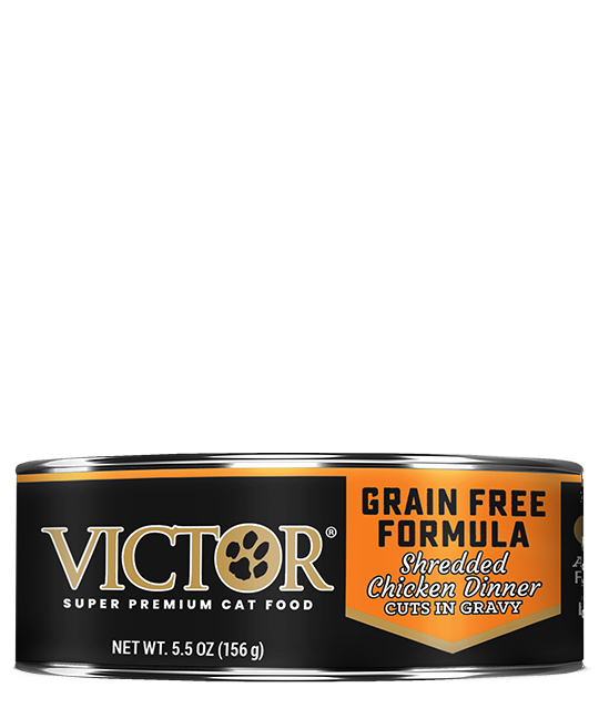 Victor Grain Free Formula Shredded Chicken Dinner Cuts in Gravy Cat Food (5.5 oz (156g))