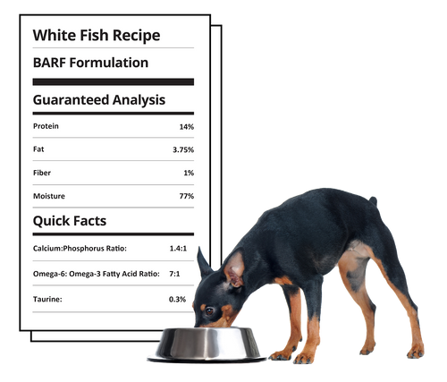 Steve's Real Food Frozen Raw Dog Food White Fish Recipe (5 LB)