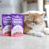 Stella & Chewy's Carnivore Cravings Tuna & Pumpkin Recipe Wet Cat Food (2.8-oz)