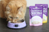 Stella & Chewy's Carnivore Cravings Chicken & Salmon Recipe Wet Cat Food (2.8-oz)